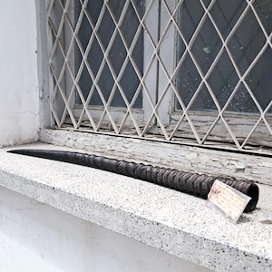 Può includere: Un lungo oggetto marrone scuro a spirale, forse un corno o una zanna, poggia su un davanzale maculato. L'oggetto si assottiglia fino a un punto e ha una superficie strutturata e scanalata. Una piccola etichetta è attaccata vicino alla base. Lo sfondo presenta una finestra bianca con una griglia di sicurezza a forma di diamante.