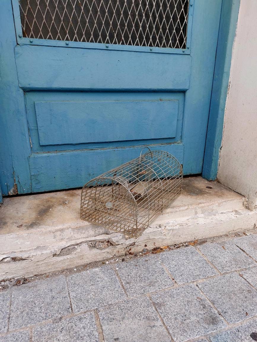 Piège/cage à rats fait main vintage, déco rustique -  France