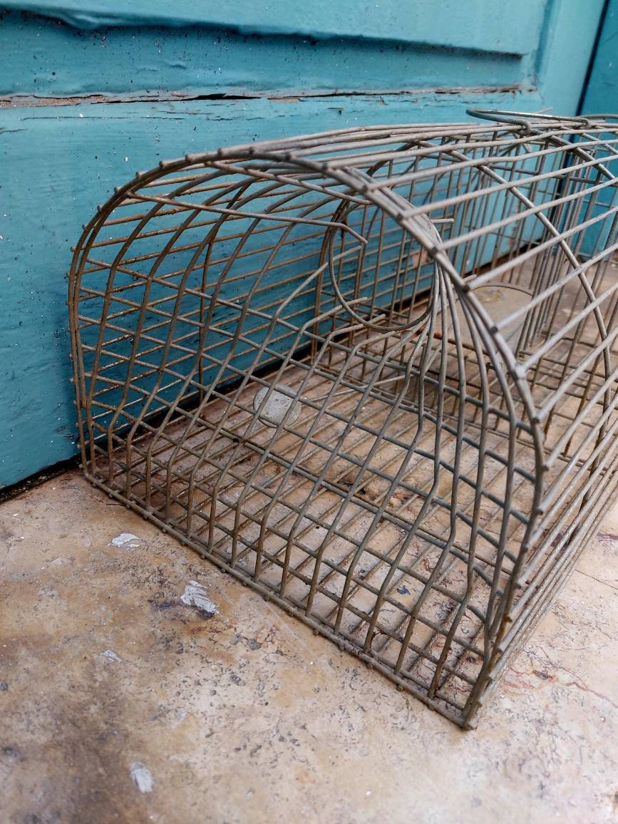 Vintage Handmade Rat Trap/cage Rustic Decor 