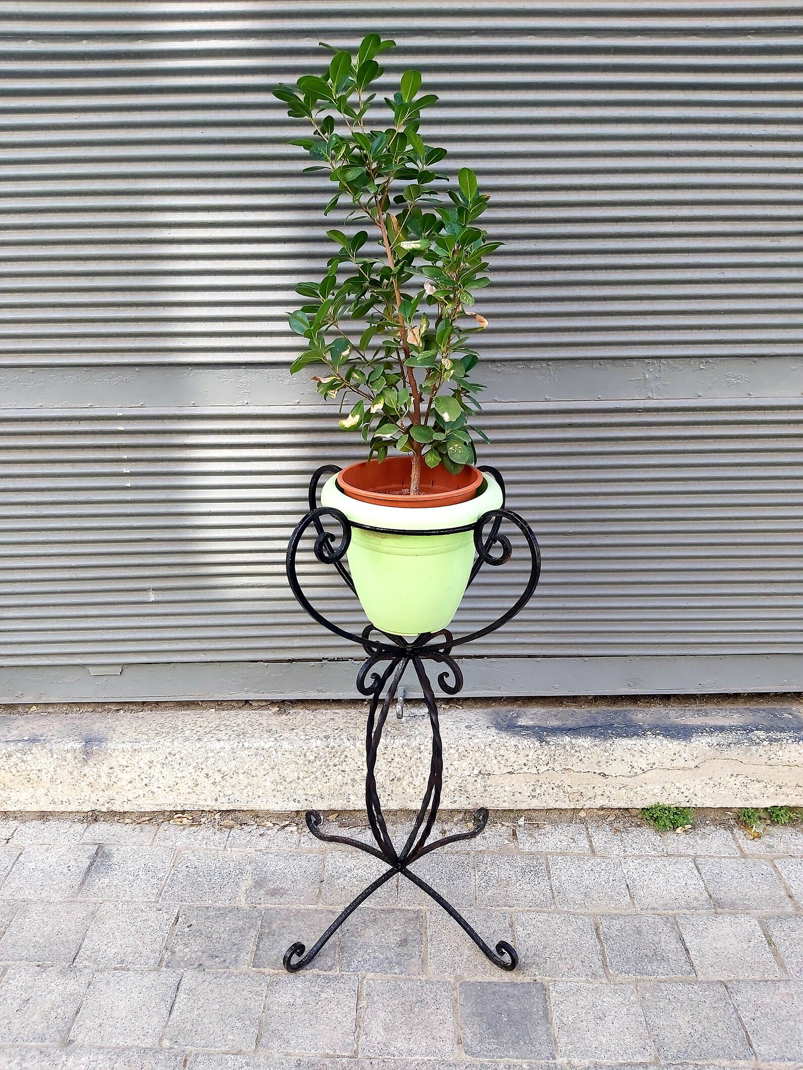 Vintage Cast Iron Plant Pot Holder Etsy