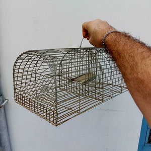 Può includere: Una trappola per gabbie in metallo con una maniglia. La gabbia è fatta di rete metallica e ha una forma rettangolare. La gabbia è vuota.