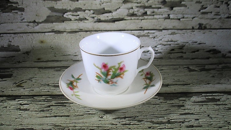 Moss Rose Pattern C Antique Haviland /& Co Teacup and Saucer 1880/'s Limoges France