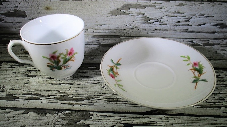 Moss Rose Pattern C Antique Haviland /& Co Teacup and Saucer 1880/'s Limoges France