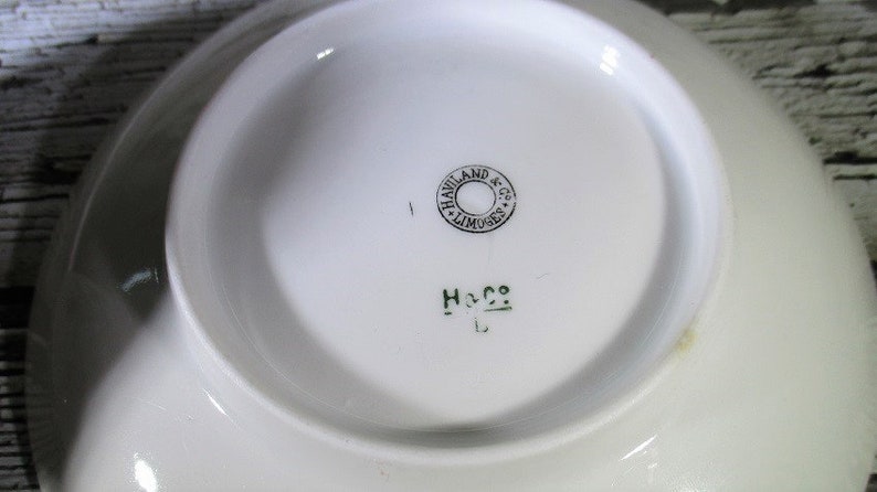 Moss Rose Pattern C Antique Haviland /& Co Teacup and Saucer 1880/'s Limoges France