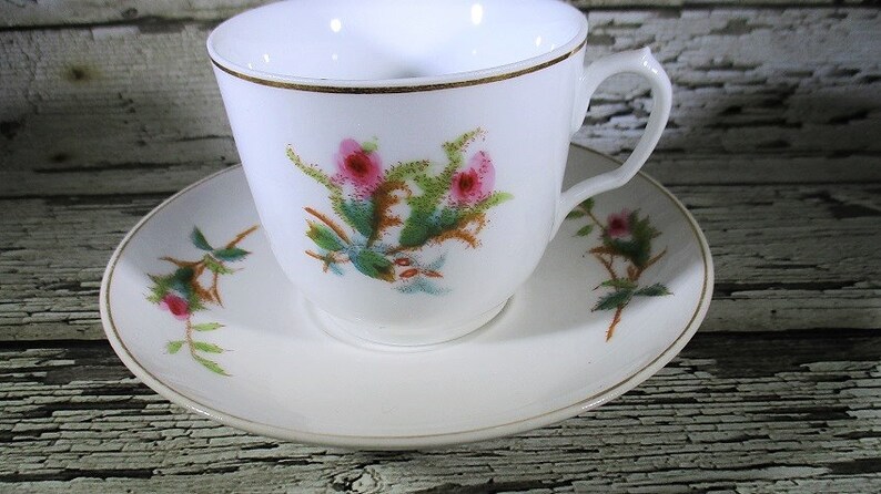 Moss Rose Pattern C Antique Haviland /& Co Teacup and Saucer 1880/'s Limoges France