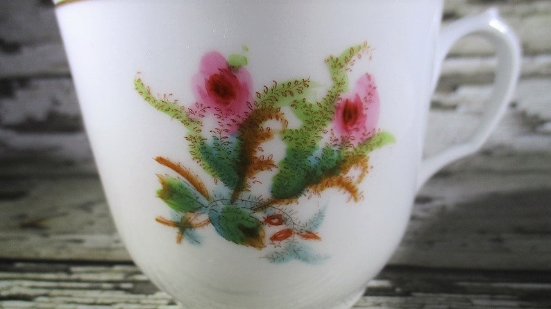 Moss Rose Pattern C Antique Haviland /& Co Teacup and Saucer 1880/'s Limoges France