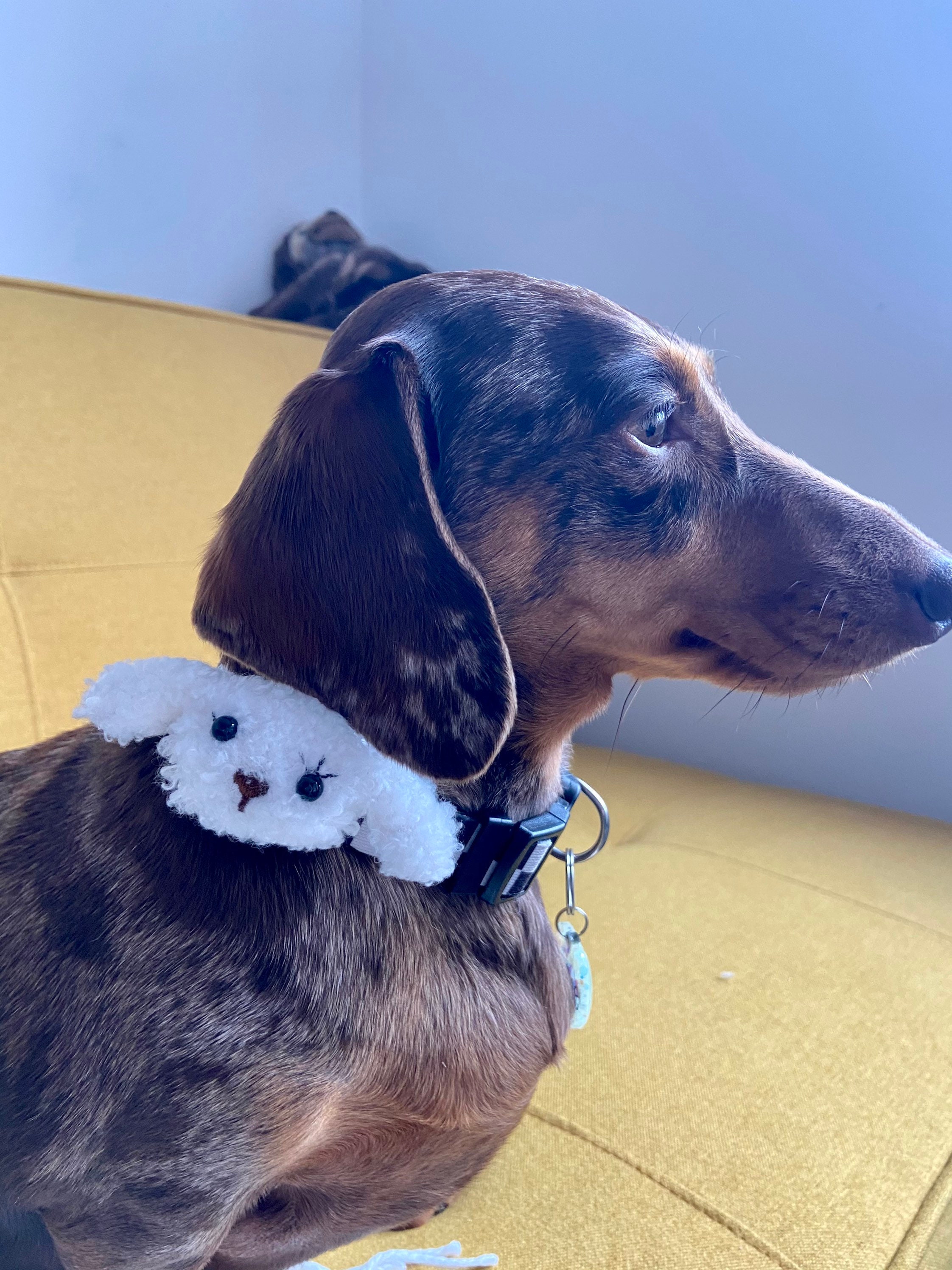 Fluffy puppy dog collar charm bow cute dog accessories Etsy