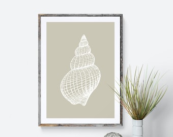 Sea Shell Print, Sea Themed Wall Art, Nautical Picture, Beach Print, Nautical Print Gift, Beige Modern Print, Neutral Home Decor