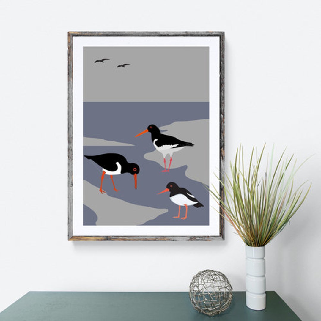 Oystercatcher Bird Print, Coastal Nautical Wall Art - Etsy UK