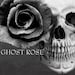 Darlin Rose