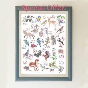 May include: Framed watercolor print featuring an alphabet with various animals and plants, including a fox, deer, and owl. The print has a blue frame and the text "Special Offer!" in pink at the top.