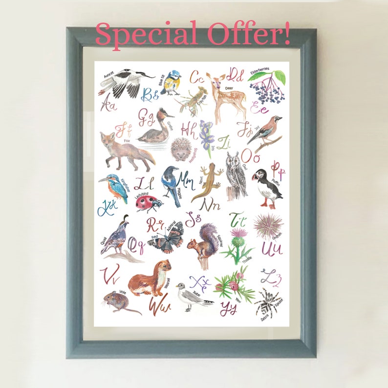May include: Framed watercolor print featuring an alphabet with various animals and plants, including a fox, deer, and owl. The print has a blue frame and the text "Special Offer!" in pink at the top.