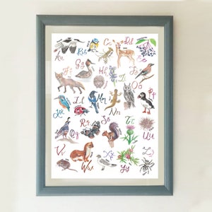 May include: A framed watercolor print featuring an alphabet with corresponding illustrations of animals and plants. The artwork includes a fox, deer, owl, and squirrel, with each letter accompanied by a related image. The frame is a muted blue.