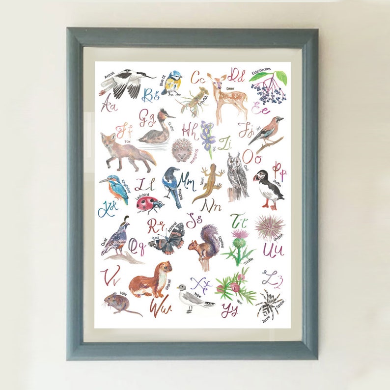 May include: A framed watercolor print featuring an alphabet with corresponding illustrations of animals and plants. The artwork includes a fox, deer, owl, and squirrel, with each letter accompanied by a related image. The frame is a muted blue.