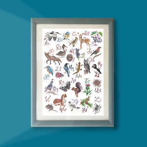 May include: Framed watercolor print featuring an illustrated alphabet with animals and plants. The artwork includes a deer, fox, owl, and squirrel, with each letter of the alphabet represented by a different animal or plant. The frame is a light gray color.