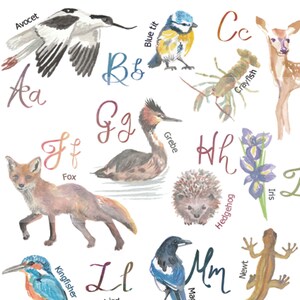 May include: Watercolor illustration of an alphabet featuring animals and plants. Includes an Avocet, Blue tit, Fox, Crayfish, Deer, Grebe, Hedgehog, Iris, Kingfisher, Ladybird, Magpie, and Newt. The letters Aa, Bb, Cc, Ff, Gg, Hh, Ll, and Mm are also shown.
