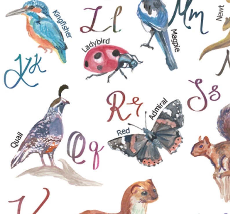 May include: Watercolor illustration of an alphabet chart featuring various animals and insects. Includes a blue Kingfisher, a red Ladybug, a blue and white Magpie, a quail, and a red Admiral butterfly. Each image is labeled with its name.