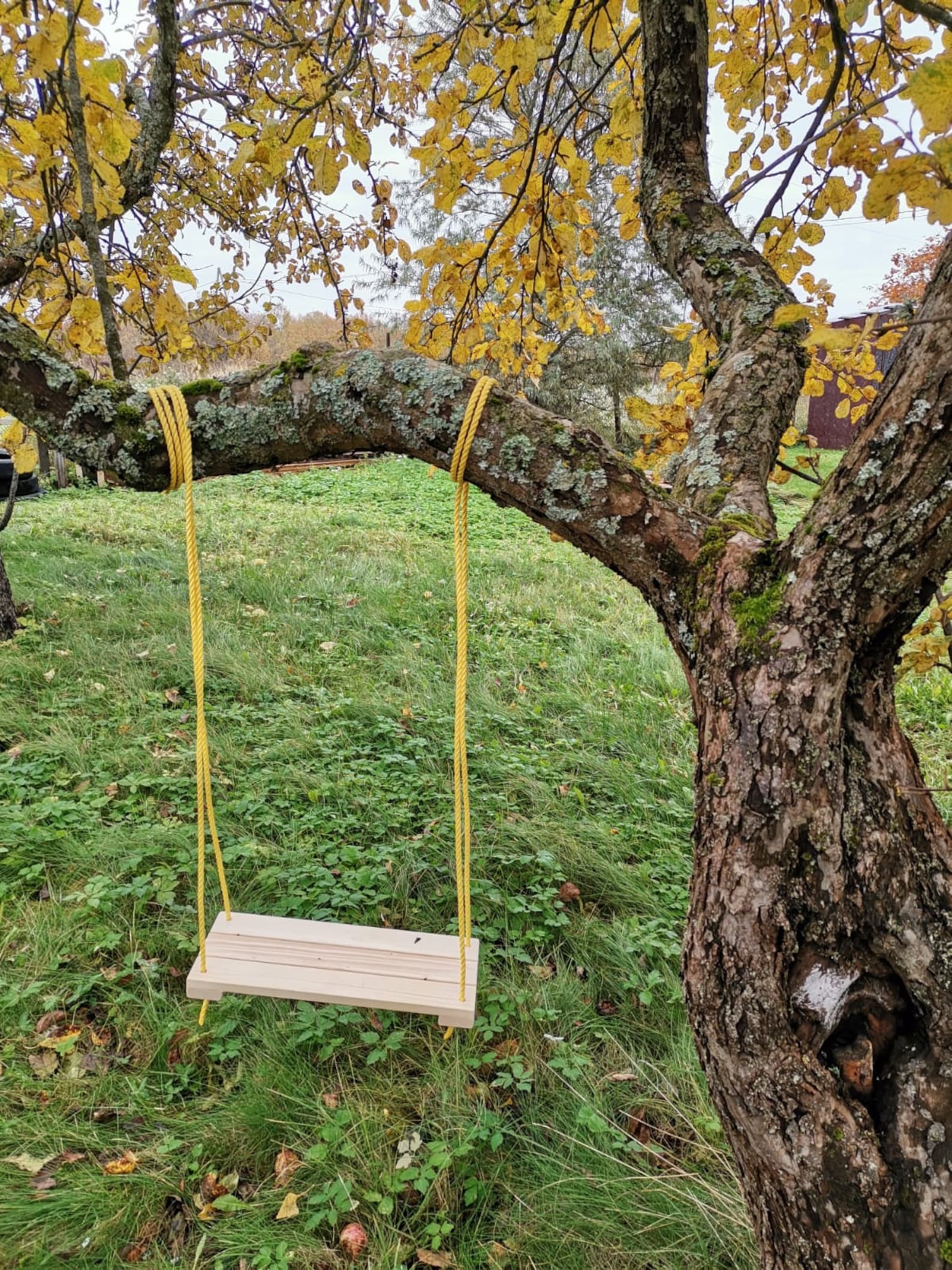 Wood Swing Tree swing Wooden Swing with nylon ropes indoor | Etsy