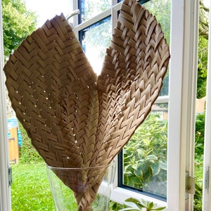 Natural African Fan/2 sizes Medium or Large/ Home Decor/Interior Design image 1