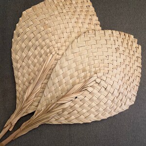 Natural African Fan/2 sizes Medium or Large/ Home Decor/Interior Design image 2