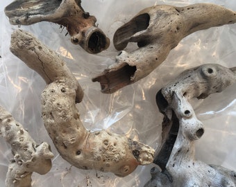 aquarium driftwood etsy
