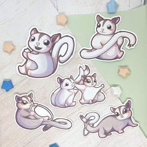 Adesivo in vinile opaco da 3" / adesivo da skateboard Sugar Glider / decalcomania per macbook proprietario di animali domestici carino / decorazione bottiglia d'acqua amante degli animali / Bujo