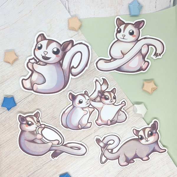 3" Matte Vinyl Sticker | Sugar Glider skateboard sticker | Cute Pet Owner macbook decal | Animal Lover Water bottle decoration | Bujo