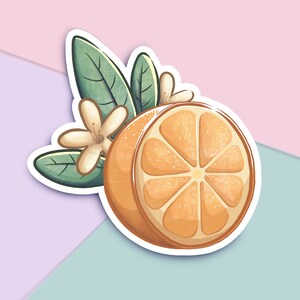 Naranja 3" pegatina de vinilo mate - cottagecore portátil, tableta calcomanía. Kawaii Bujo, Bulletjournal, Planificador, Scrapbooking. Ilustración de frutas lindas