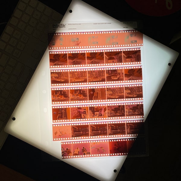 High Resolution Negative Scanning with Flextight X1 and Epson V850 Pro - From 35mm to 8x10