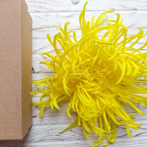 Yellow chrysanthemum, yellow flower, yellow brooch, chrysanthemum their fabric, pin yellow flower