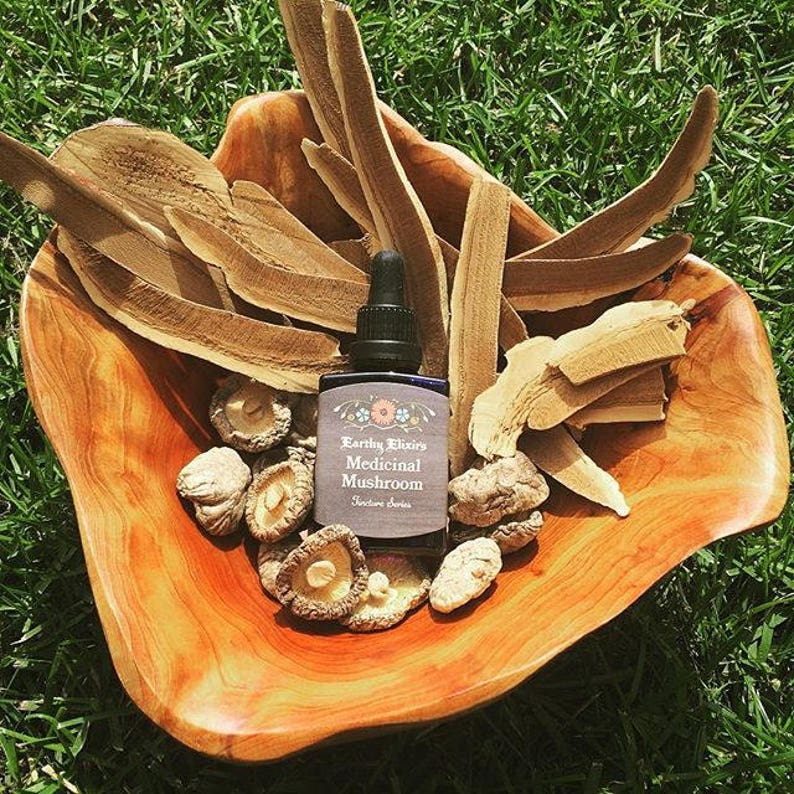 Medicinal Mushroom the Tonic Tincture 60ml 30ml Etsy Canada
