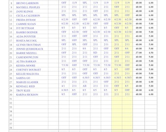 Weekly Employee Schedule Template | Automated Staff Roster (Excel .xlsm)