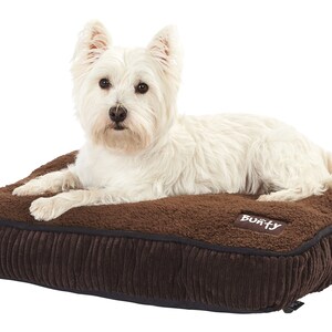 Snooze Small- With Bunty the Westie