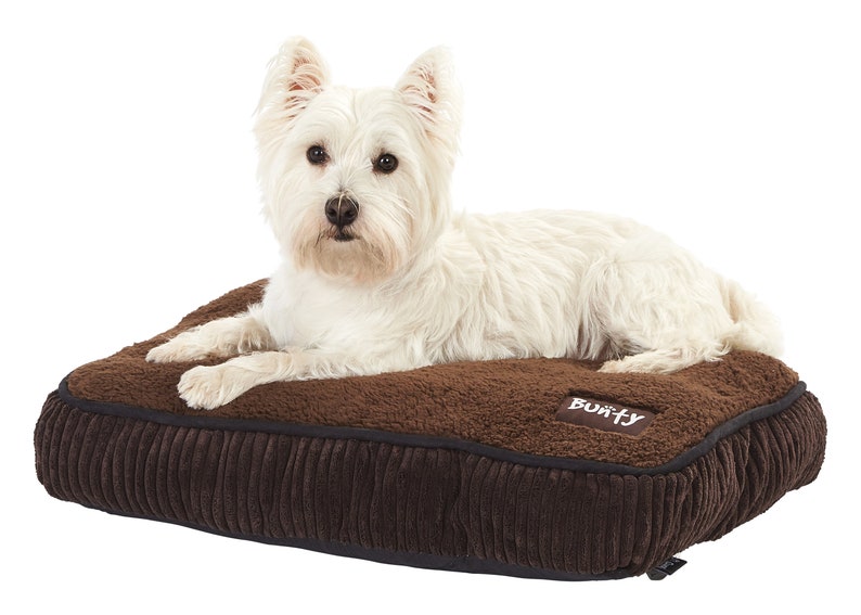 Snooze Small- With Bunty the Westie