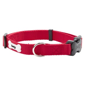 Bunty Middlewood Pet Collar image 5