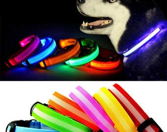 Bunty Flashing LED Pet Collar