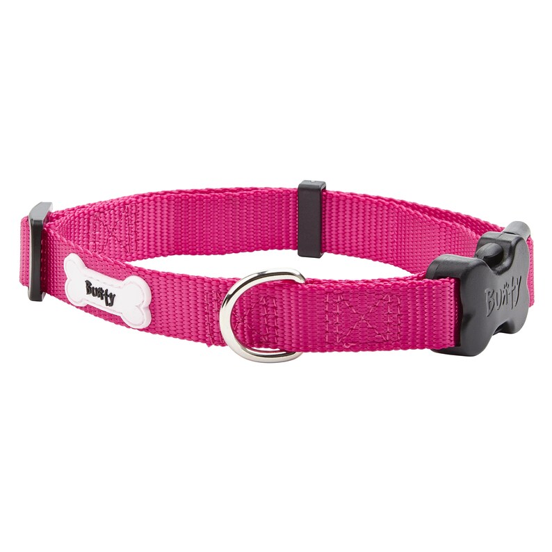 Bunty Middlewood Pet Collar image 3