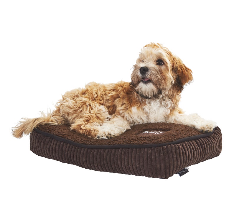 Snooze Pet Bed image 4