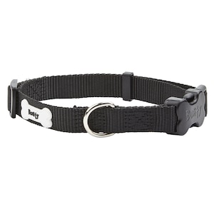 Bunty Middlewood Pet Collar image 1