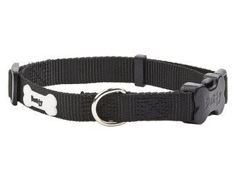 Bunty Middlewood Pet Collar