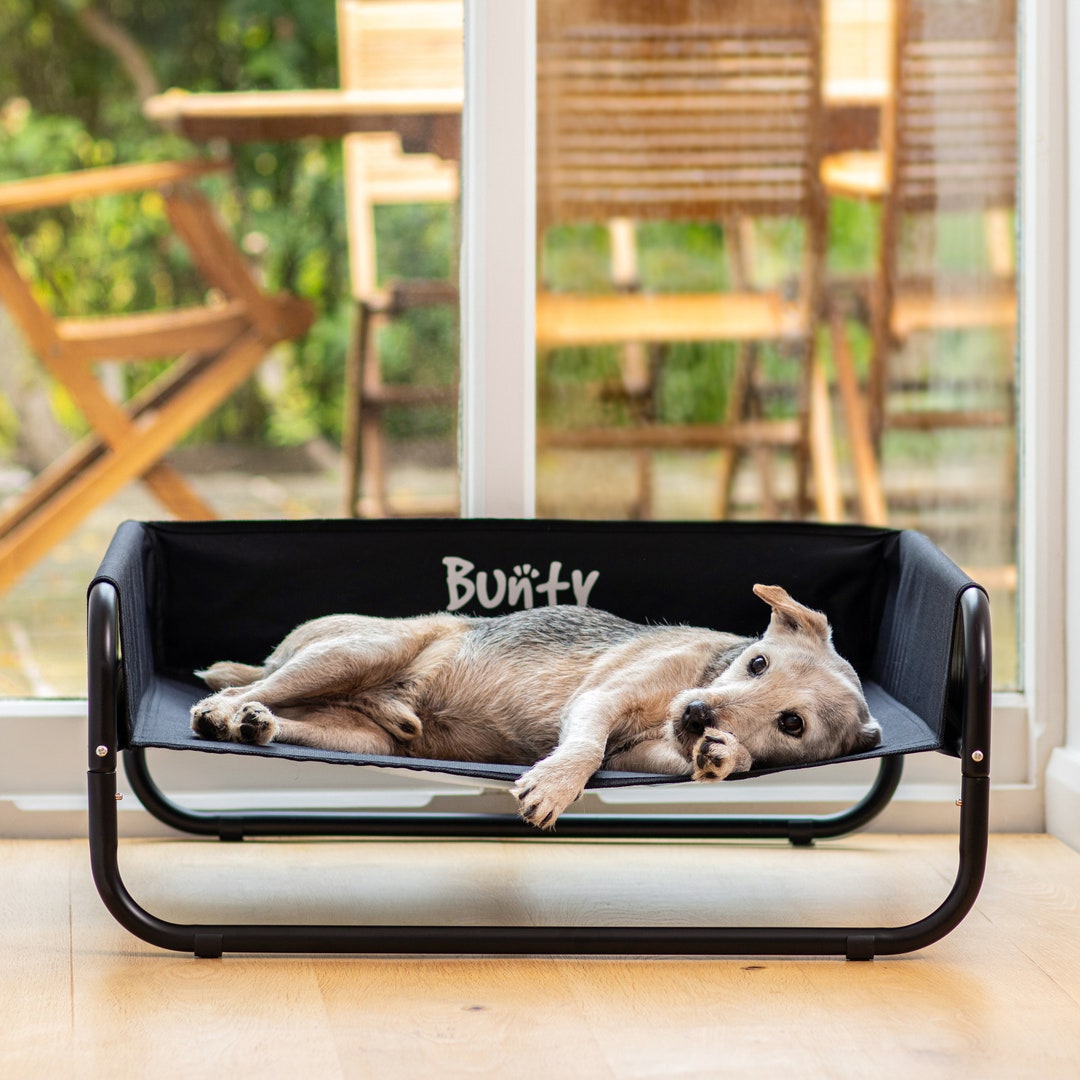 Sided Elevated Pet Bed Etsy UK