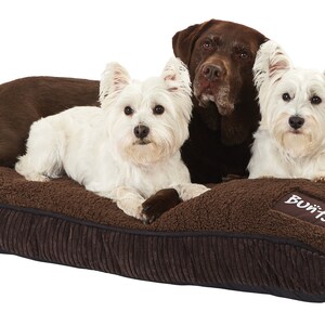 Snooze XXL -With Bo the Labrador and Bunty& Dot the Westies