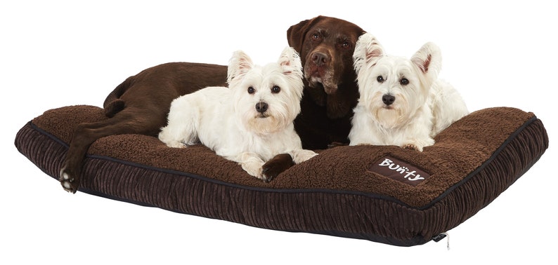 Snooze XXL -With Bo the Labrador and Bunty& Dot the Westies