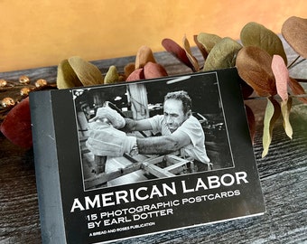 Vntg Earl Dotter Photographic Postcards American Labor Detroit - Unused Postcards - Free Shipping