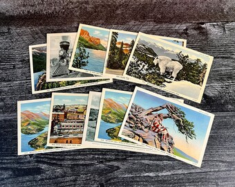 1940s Unused Postcards Lot of 10 Nat’l Park Photos - Free Shipping