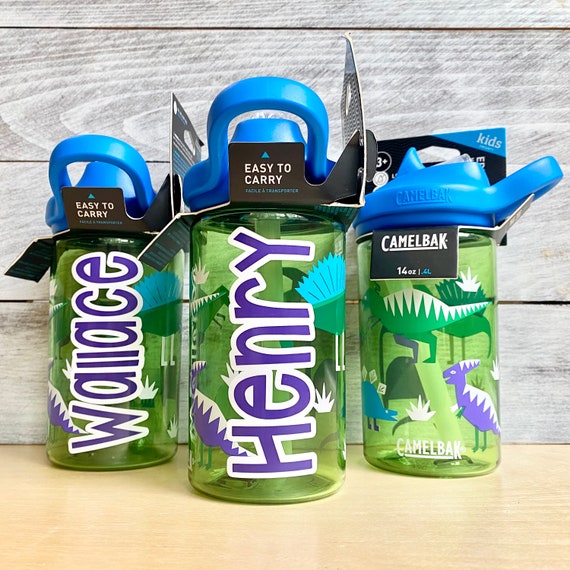 Kids Camelbak HIP DINOS Camelbak Water Bottle Daycare 