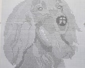 Irish Setter Dog Pattern