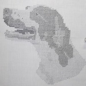 Brittany Spaniel Dog Pattern