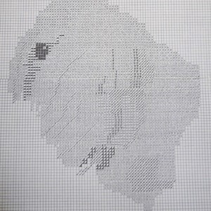 Tibetan Terrier Dog Pattern