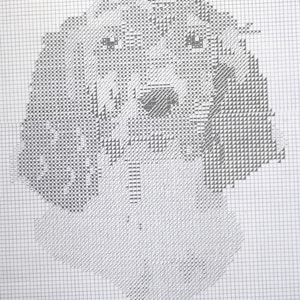 English Setter Dog Pattern